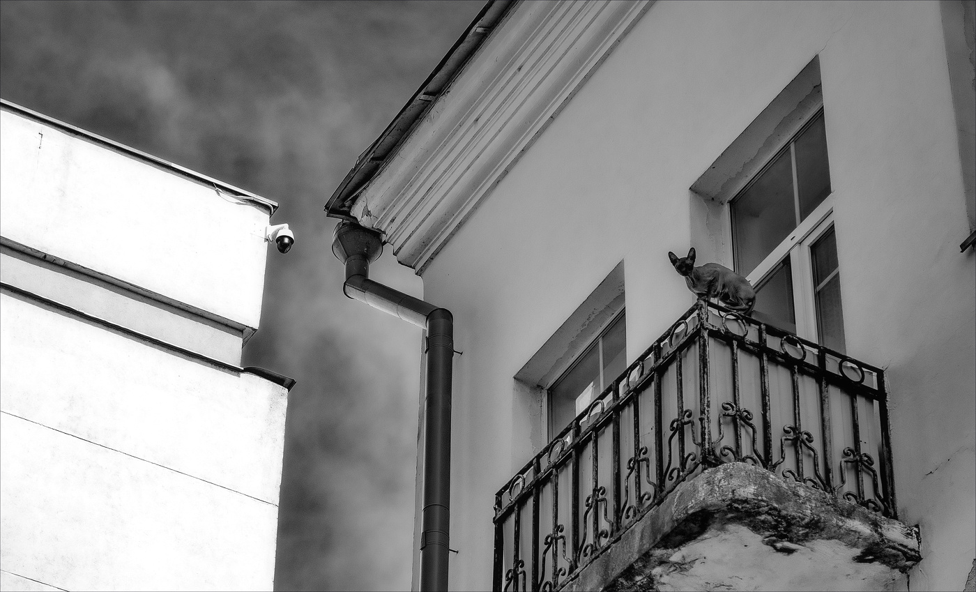 ОБРАТНАЯ СТОРОНА