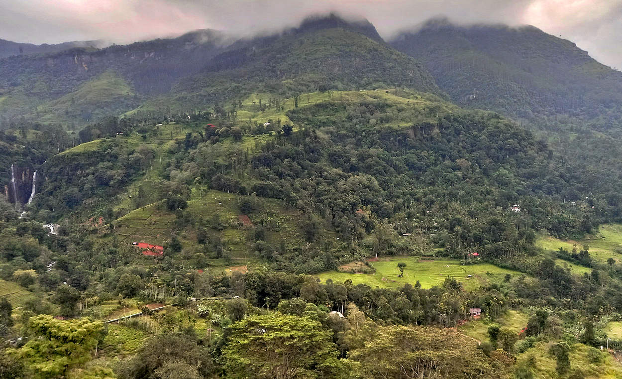 Вверх к вершинам гор и облакам
