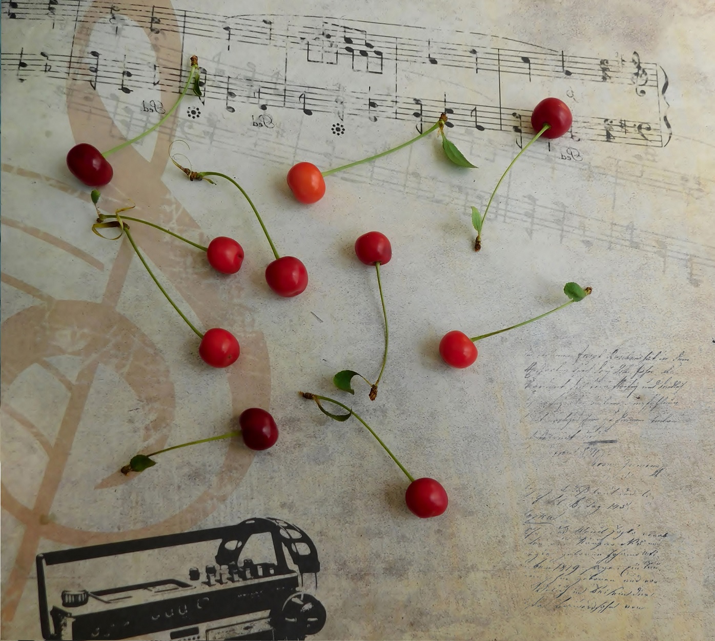 Вишневые нотки