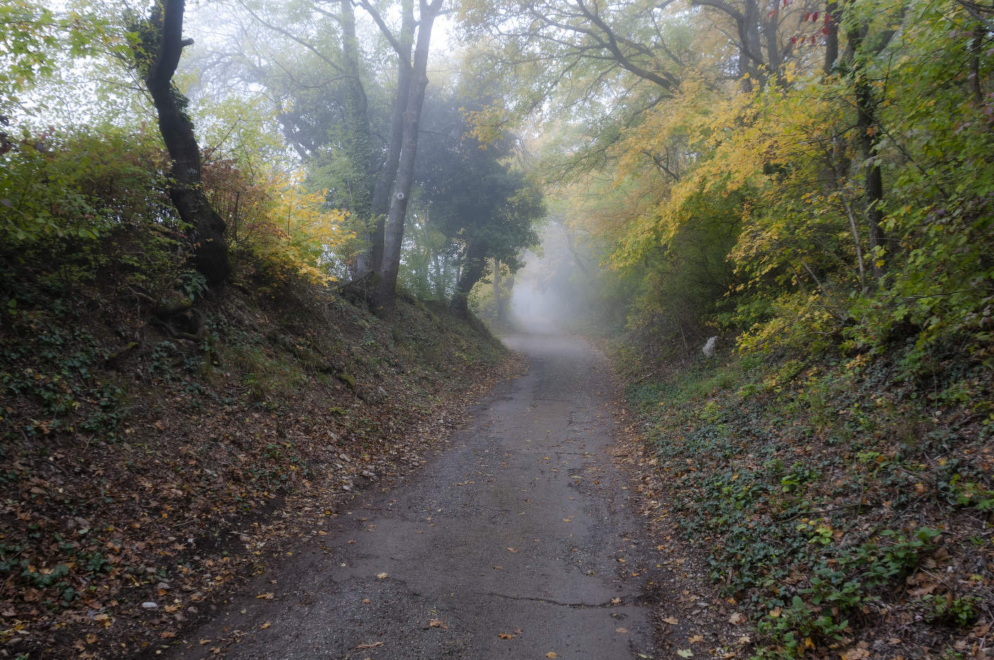 Унылая пора...