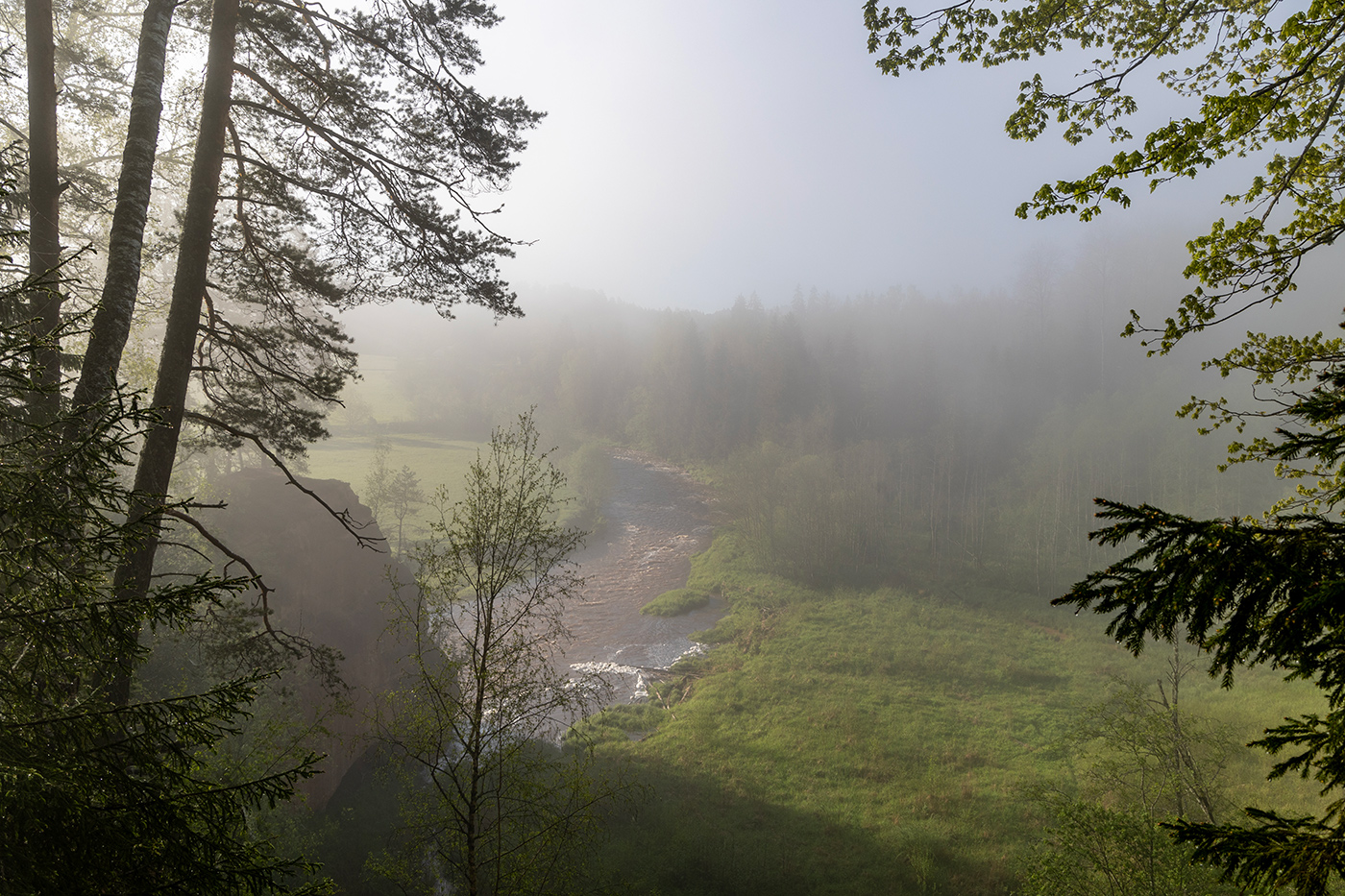 Что скрывал туман