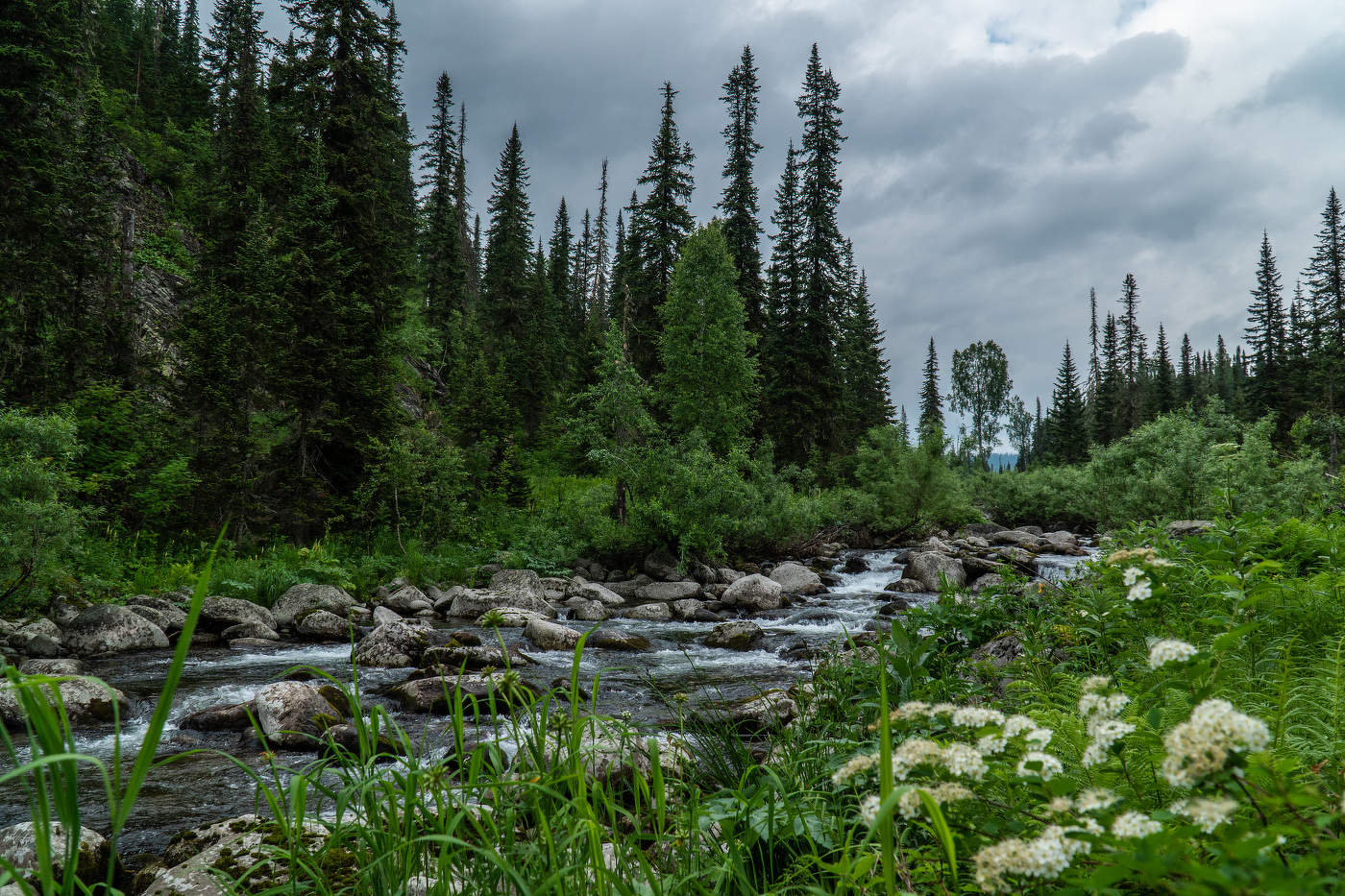 Поднебесные зубья