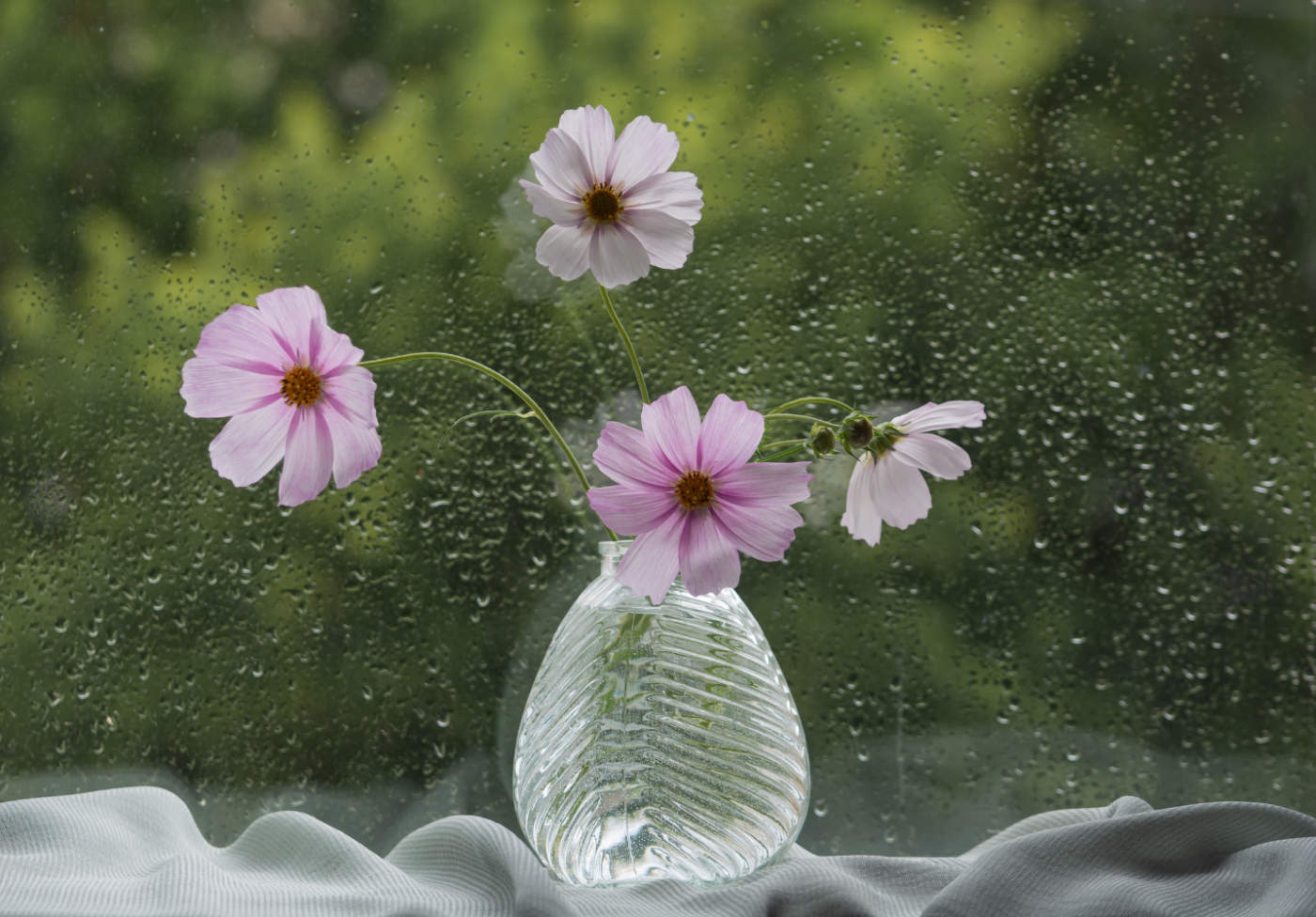 А за окном...июньский дождь...