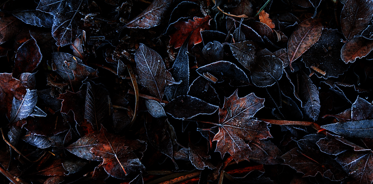 Осеннее настроение 4