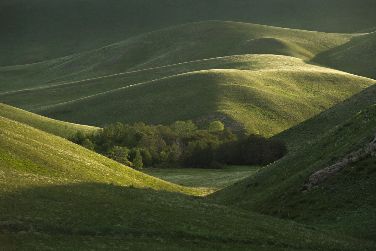"В Долгих Горах "