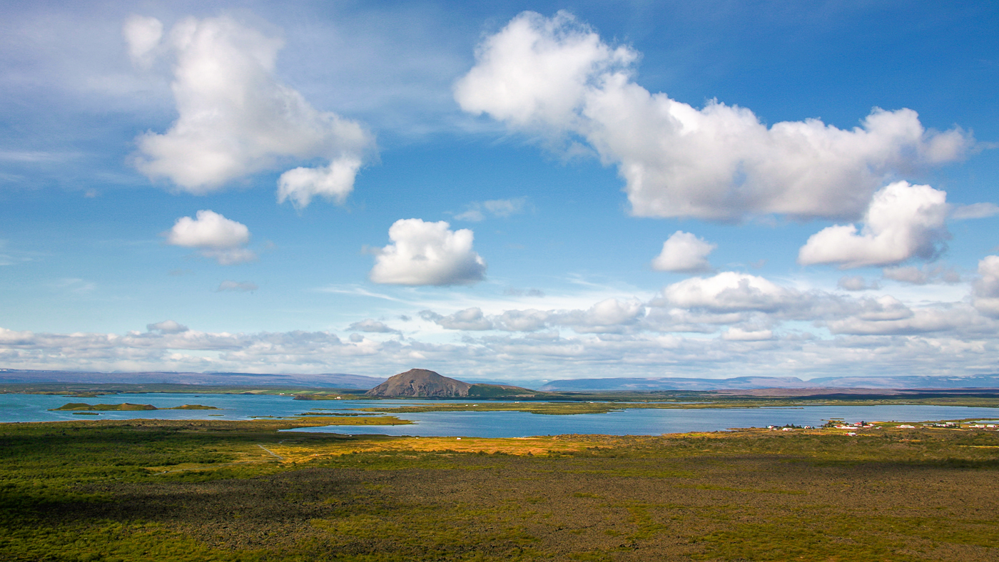 Белогривые лошадки