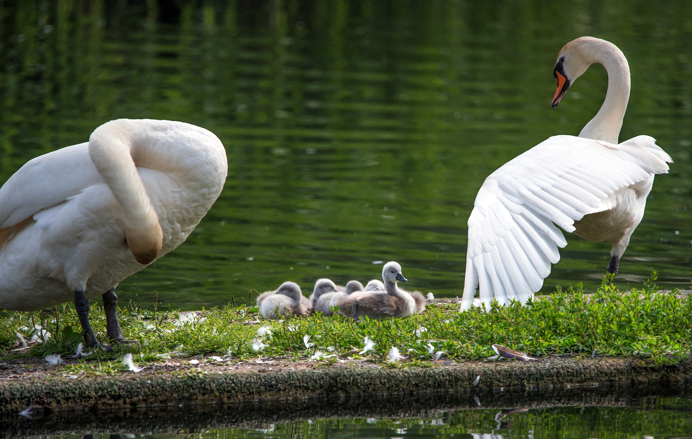 На маленьком плоту.