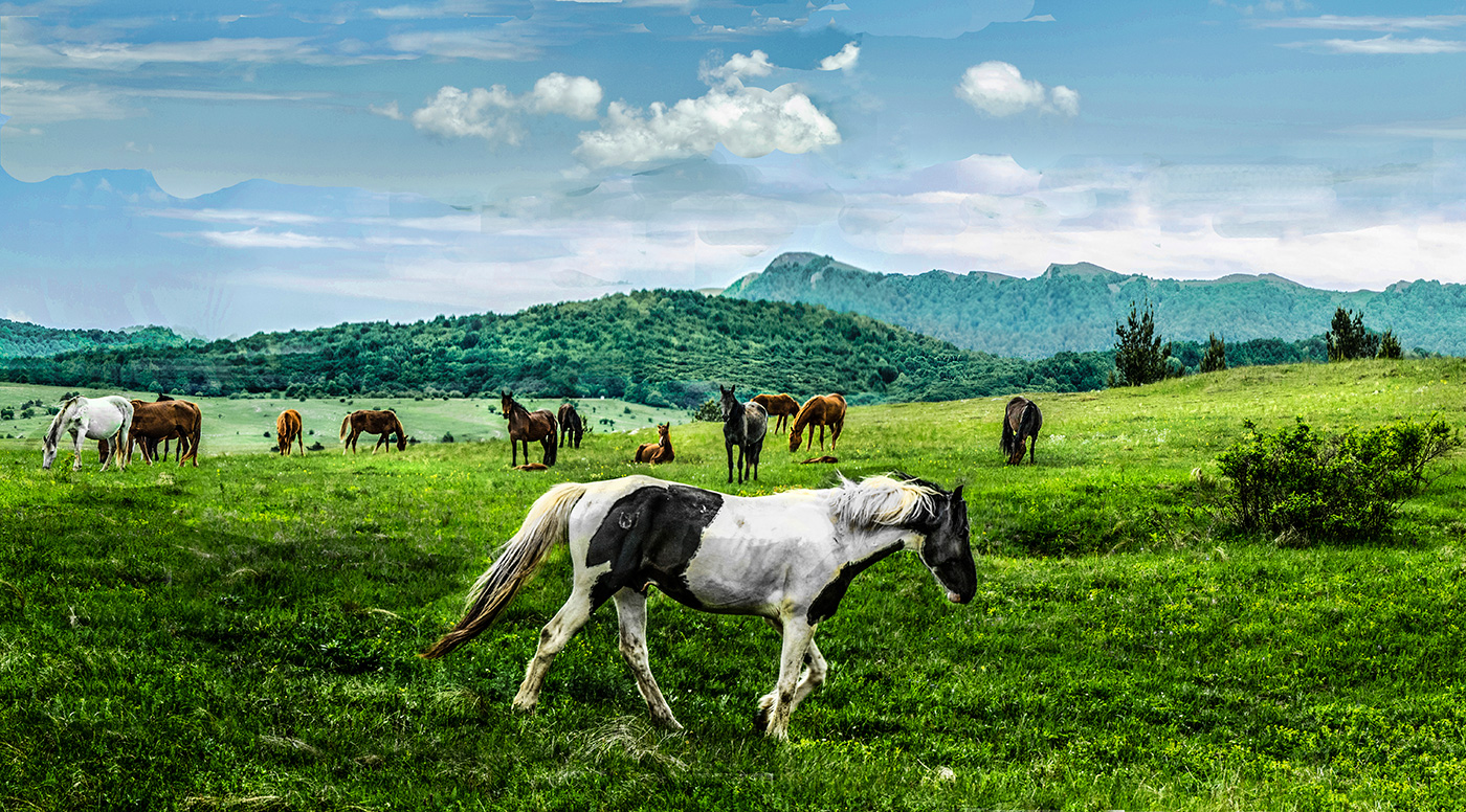 Дефиле дымы и зрители