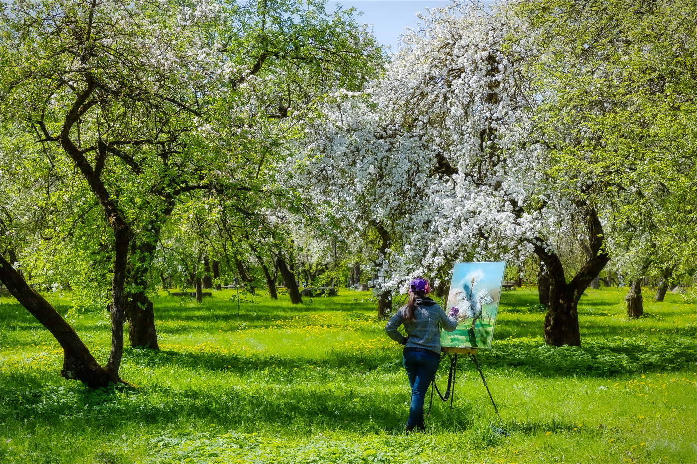 МАЙСКИЙ САД