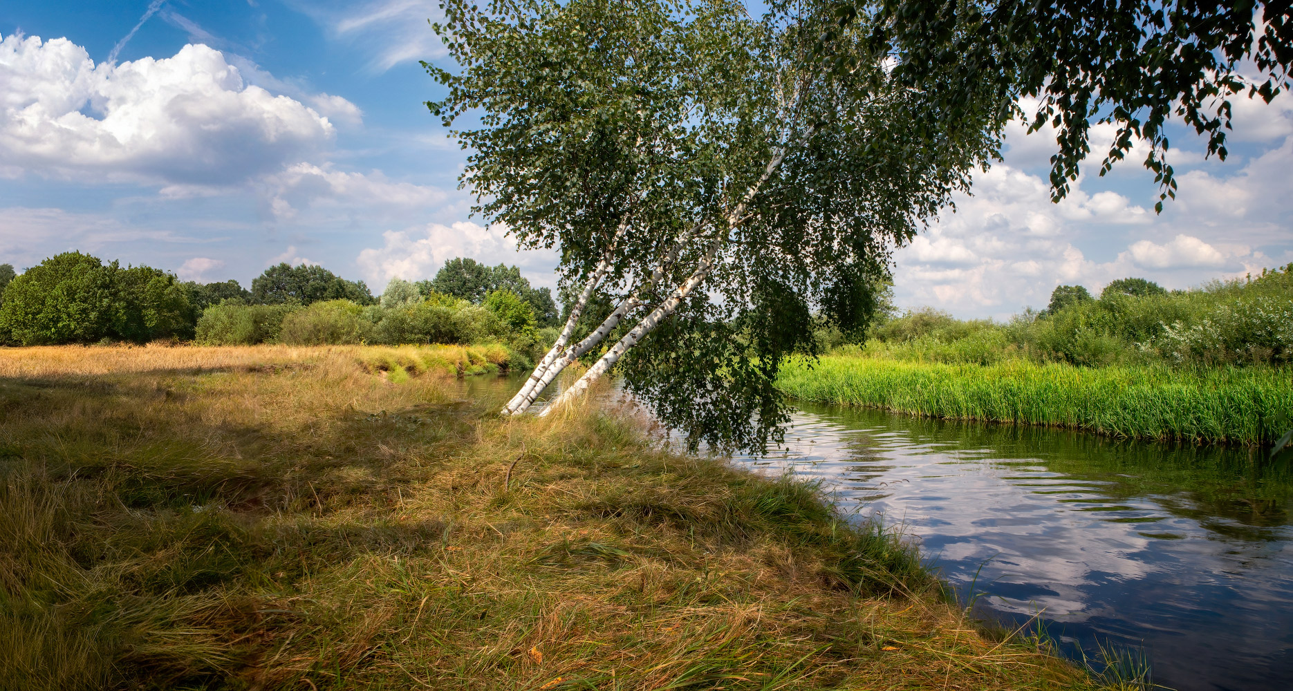 Солнечный день на Немане