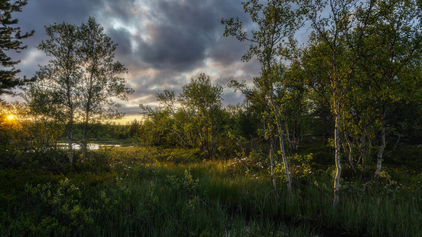 Заря утренняя