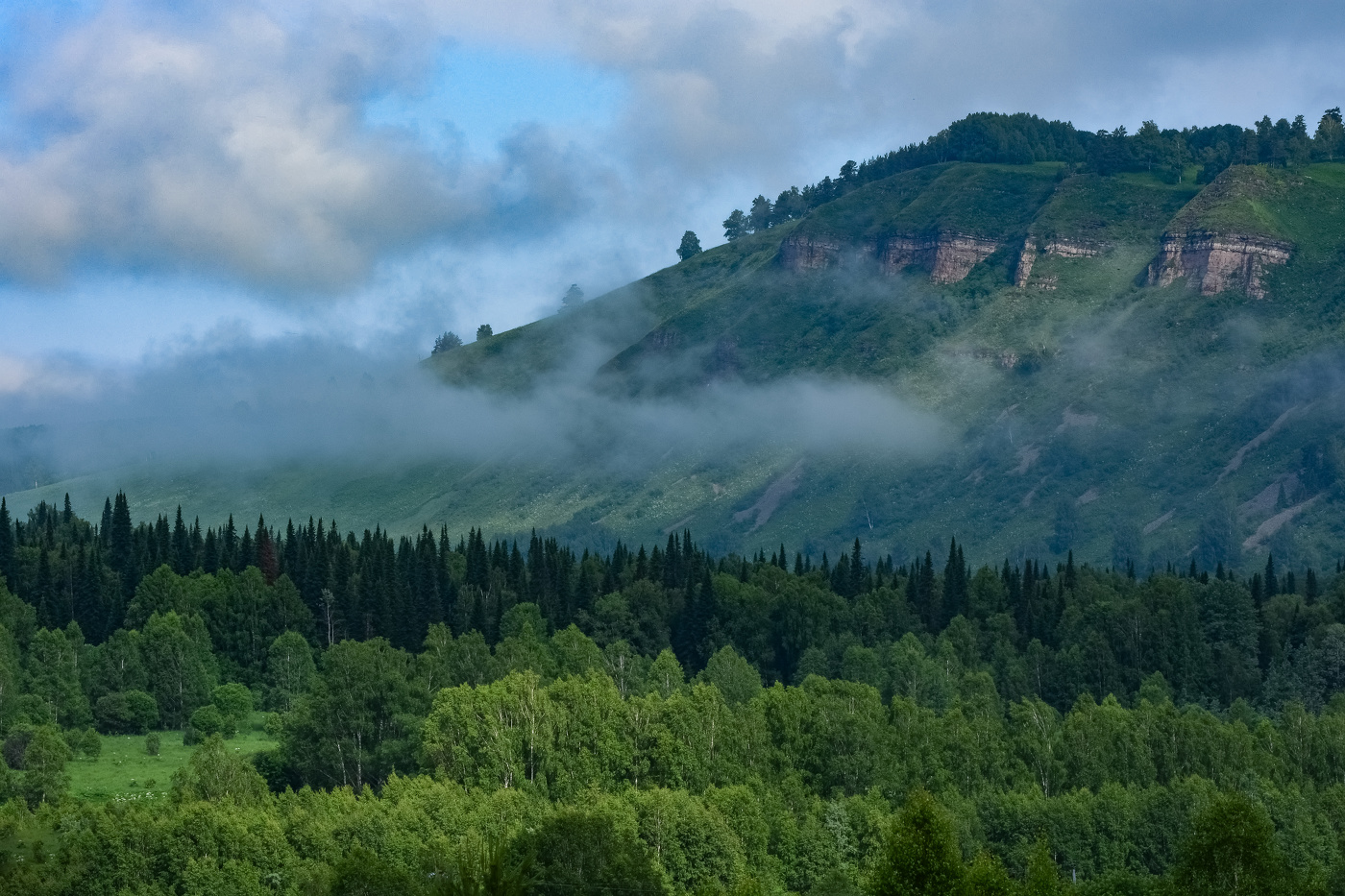 Июньское утро после дождя