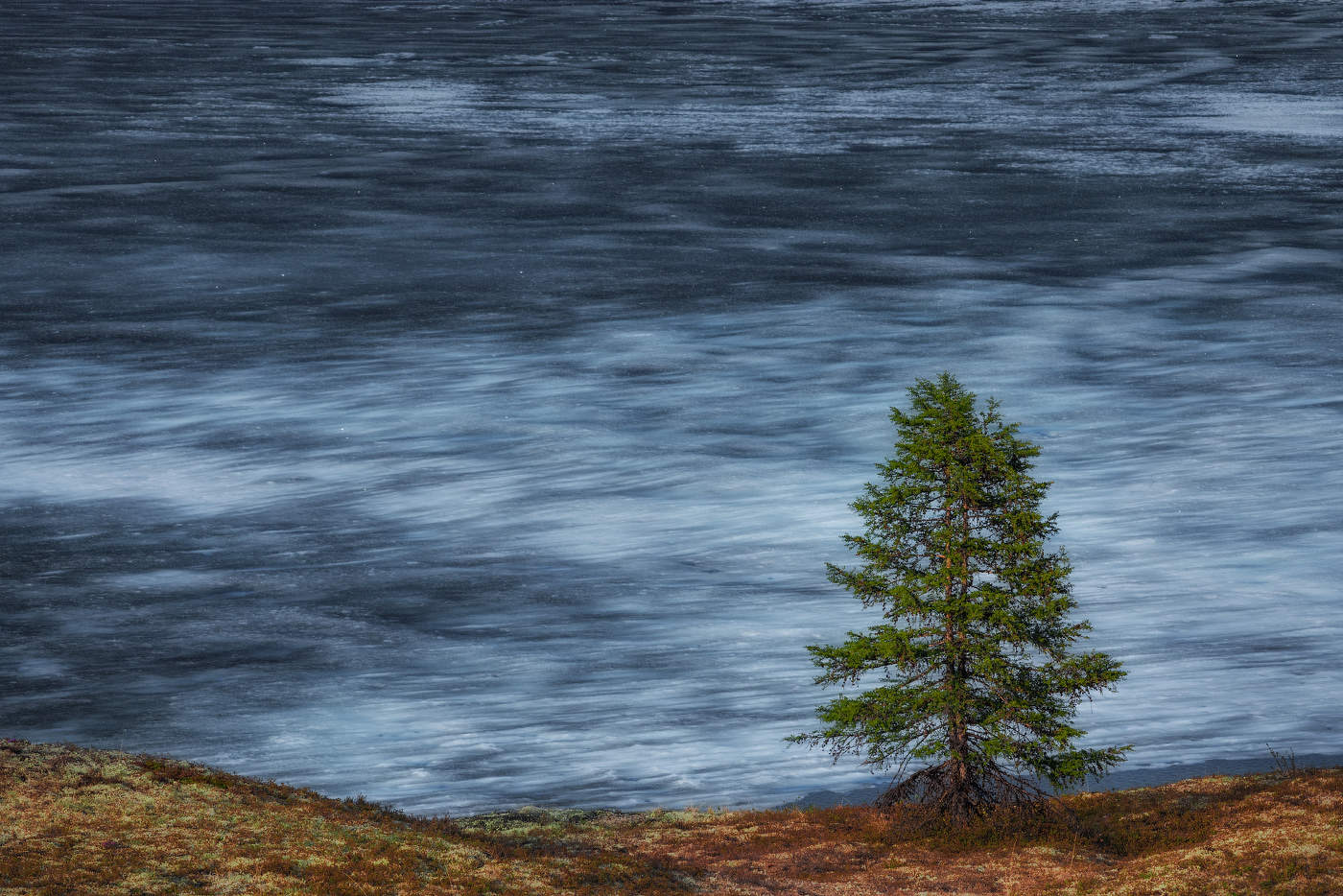 Июньский лёд