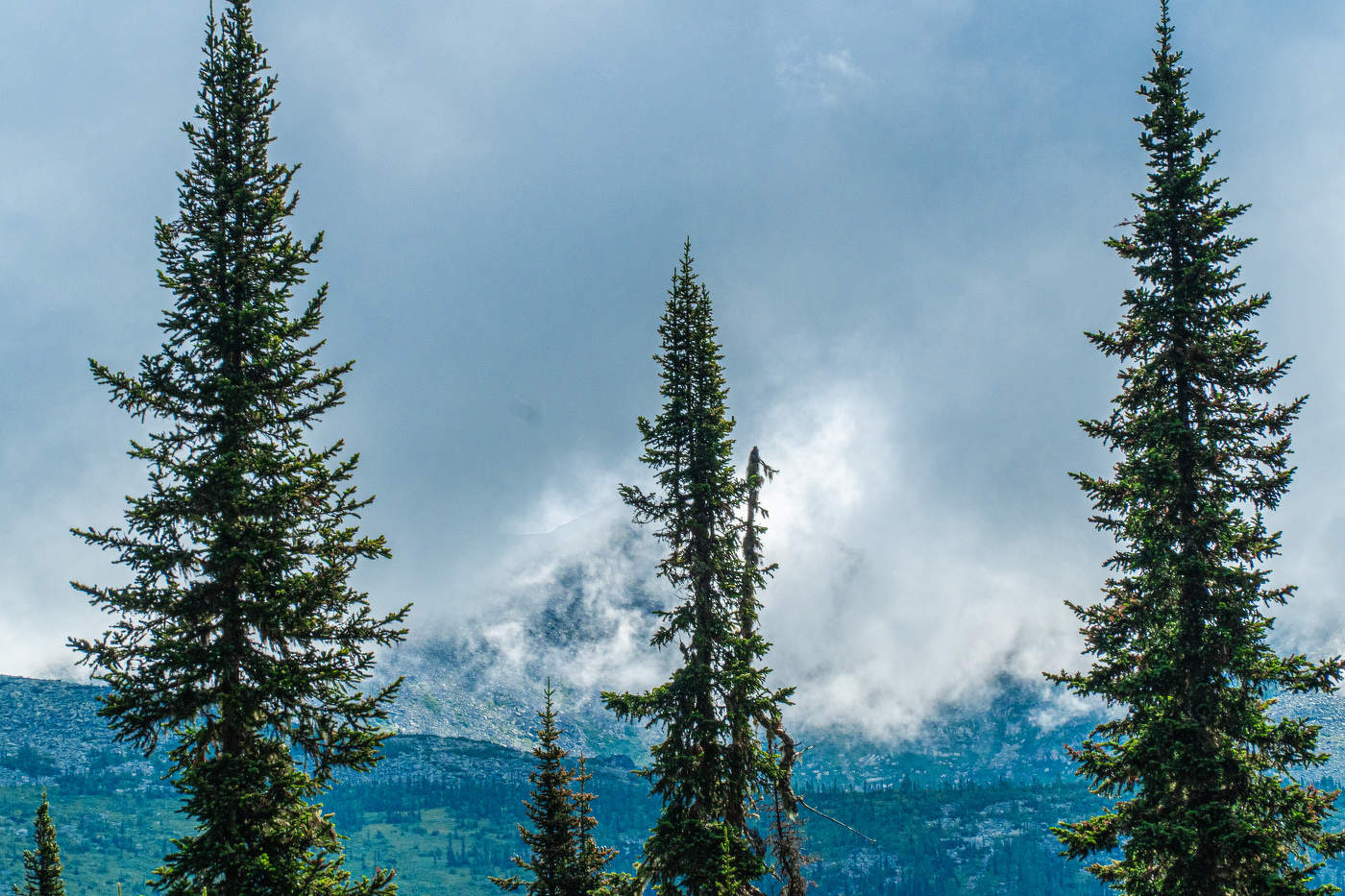 Поднебесные зубья