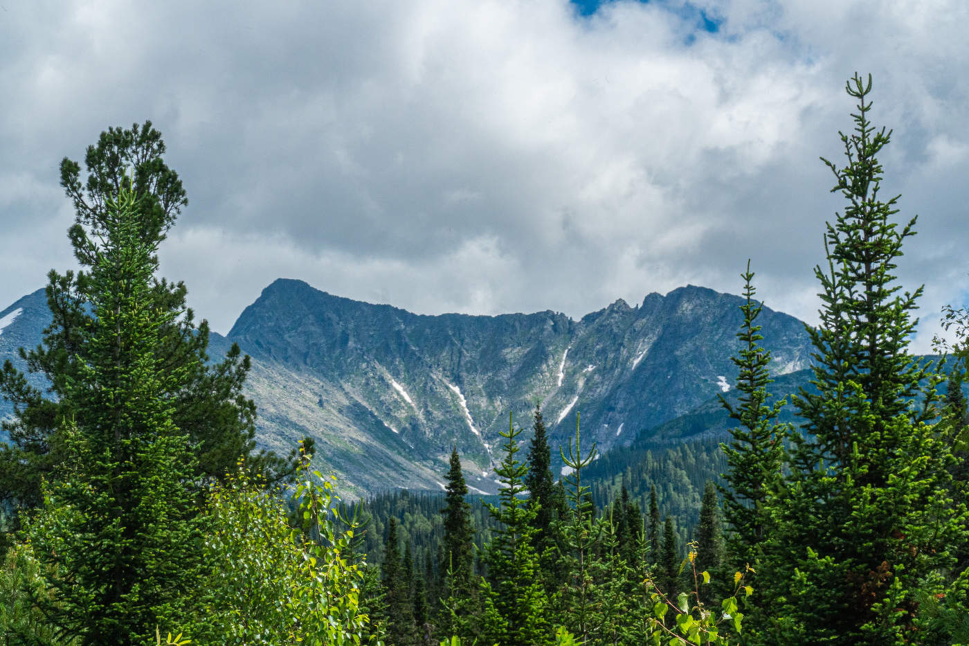 Поднебесные зубья