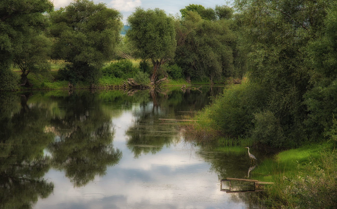Пруд в Ильчимбетово