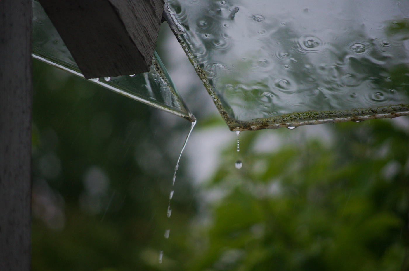 Дождливый июнь.