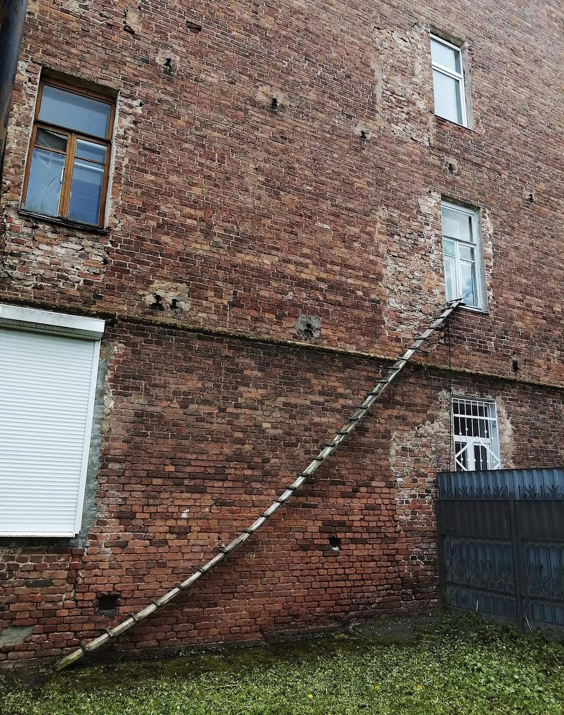 Лестница для кота