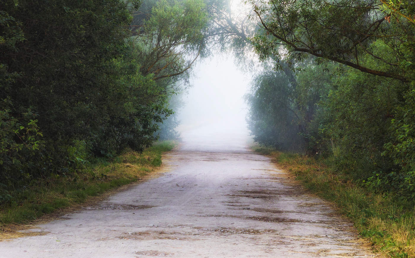 Летняя дорога