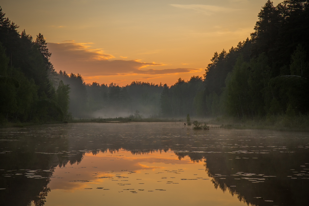 Вечерний туман