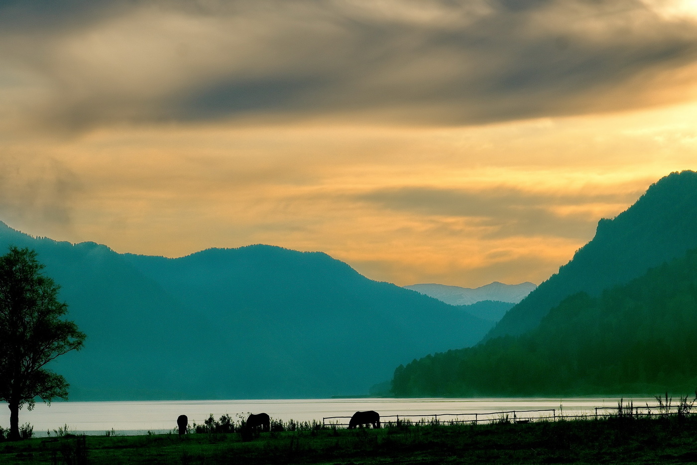 *На восходе.**