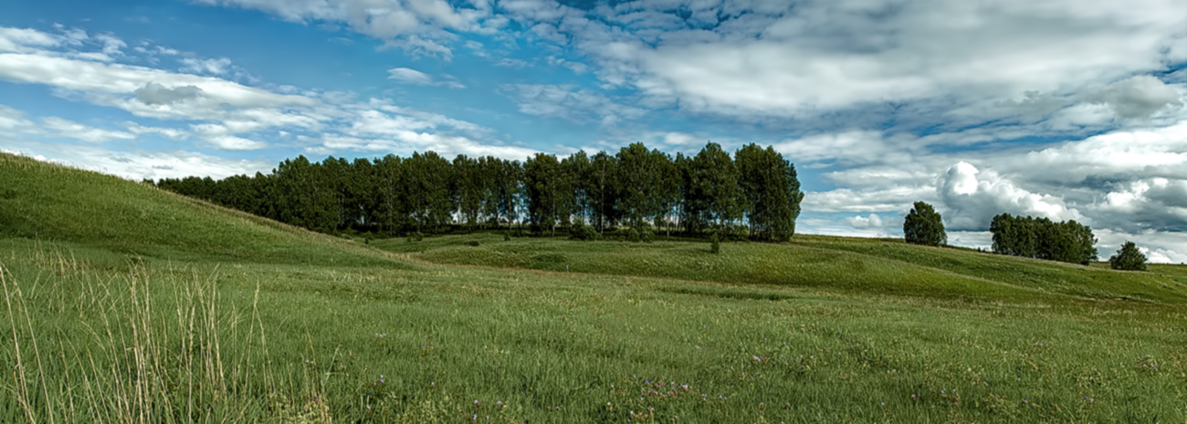 Декорации выезжают.