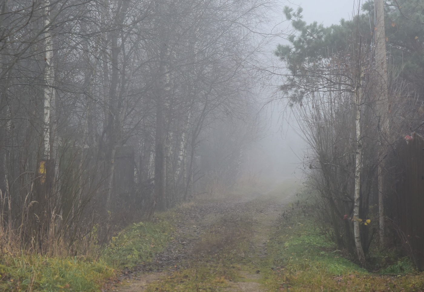 "Вполне осенние деньки - такая морось, сырость, серость..."
