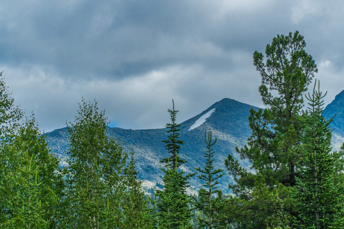 Поднебесные зубья