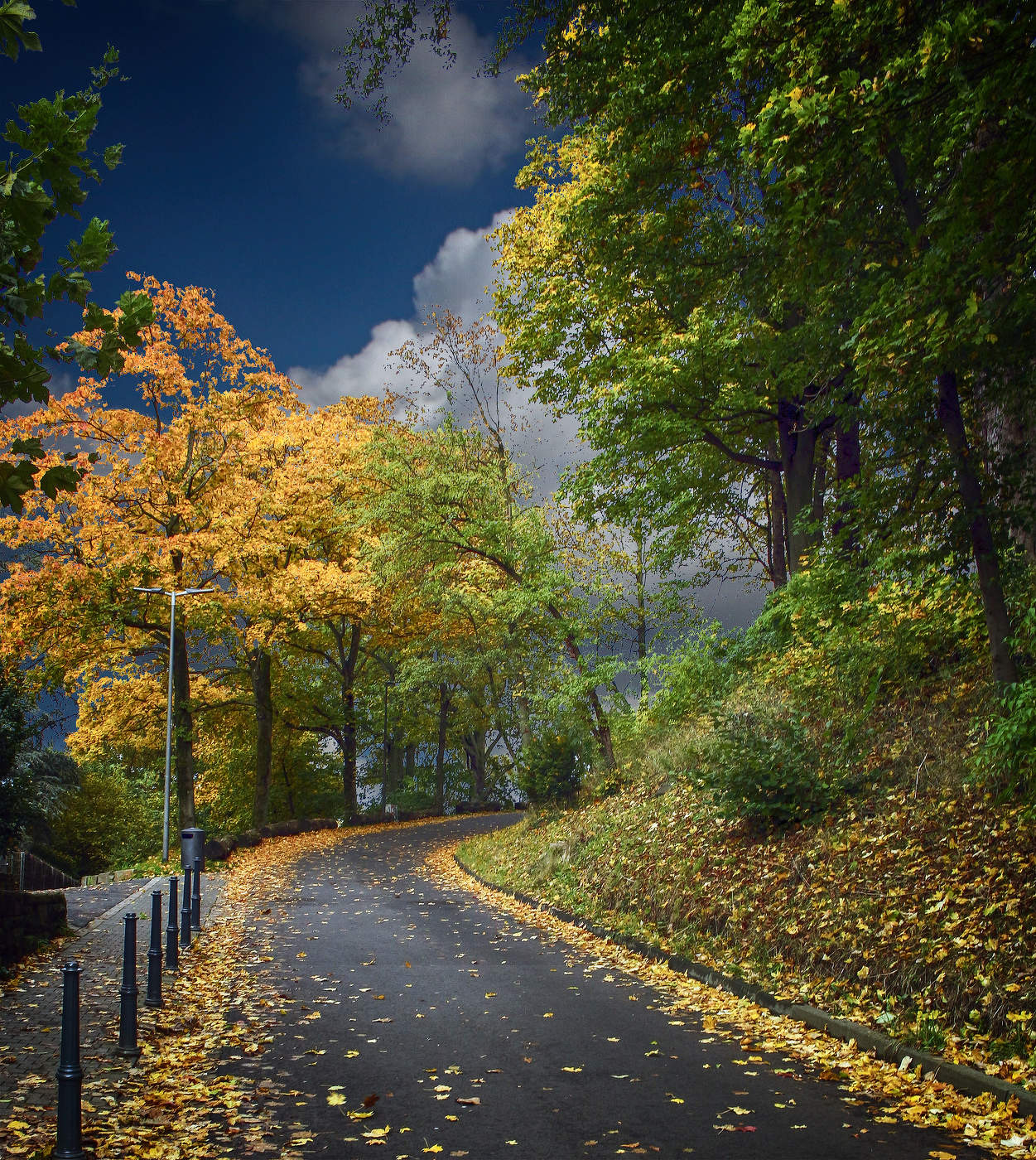 Дорога в осень