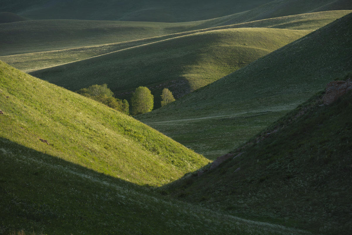 "Свет и тень"