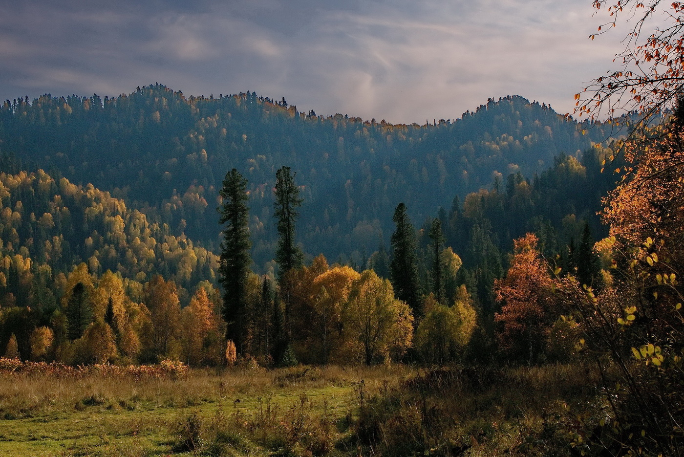 *Вечер в прителецкой тайге.**