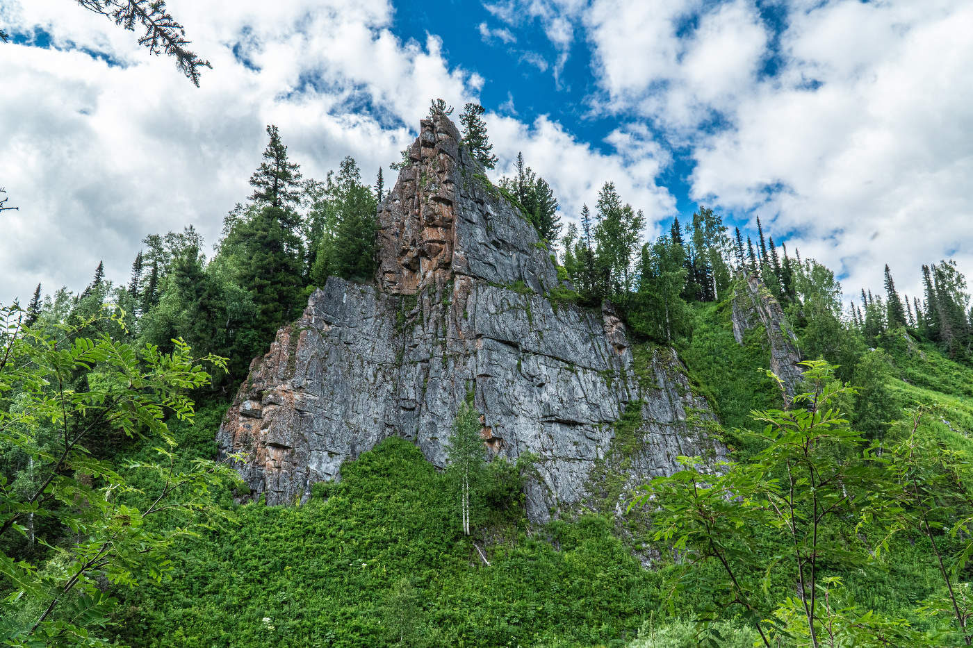 Поднебесные зубья