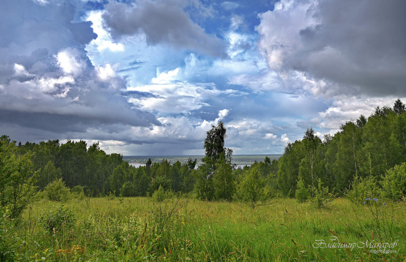 "Летние дожди. Июль"©