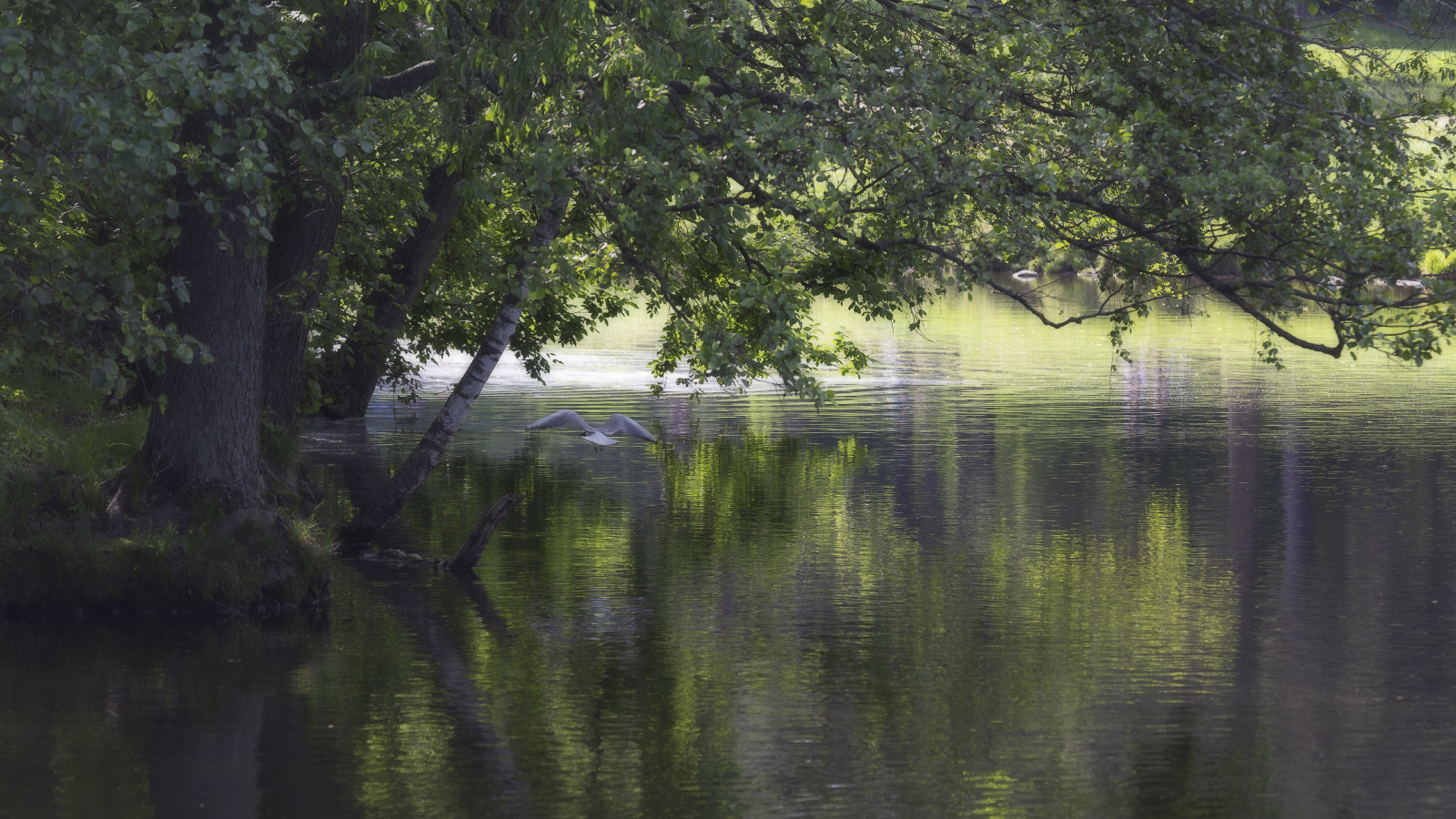 Зеленоватая палитра