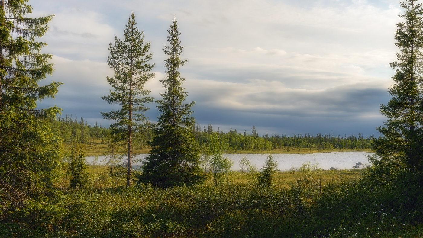 Короткое северное лето (Успеть)