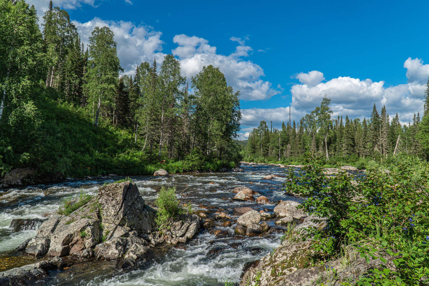 Поднебесные зубья