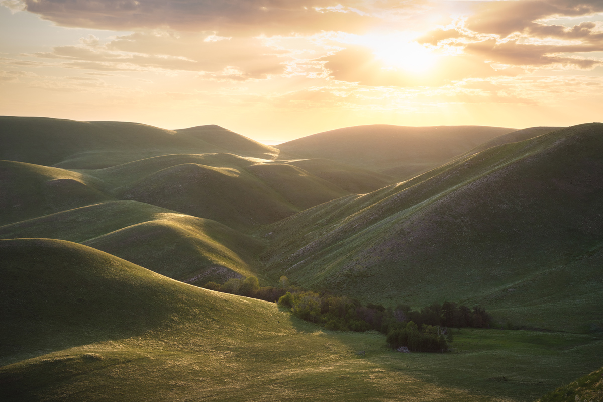 "Степные горы"