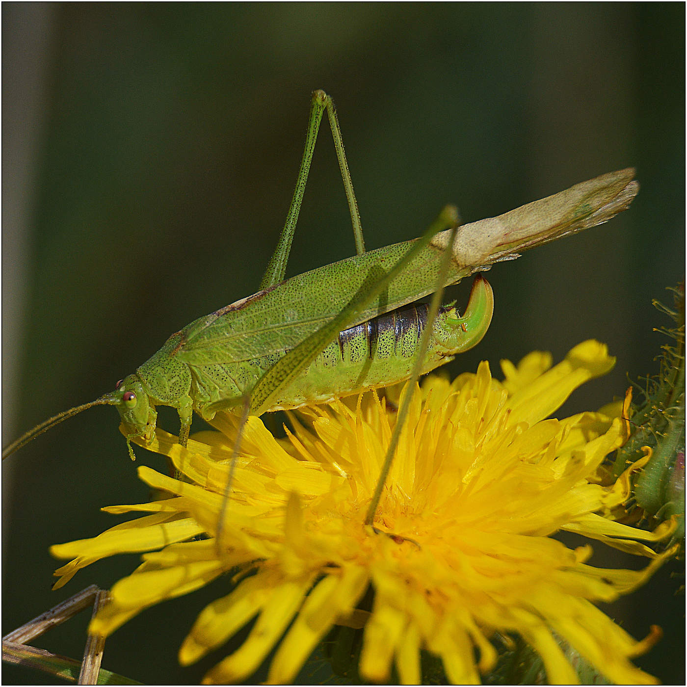 Так начинается старость.