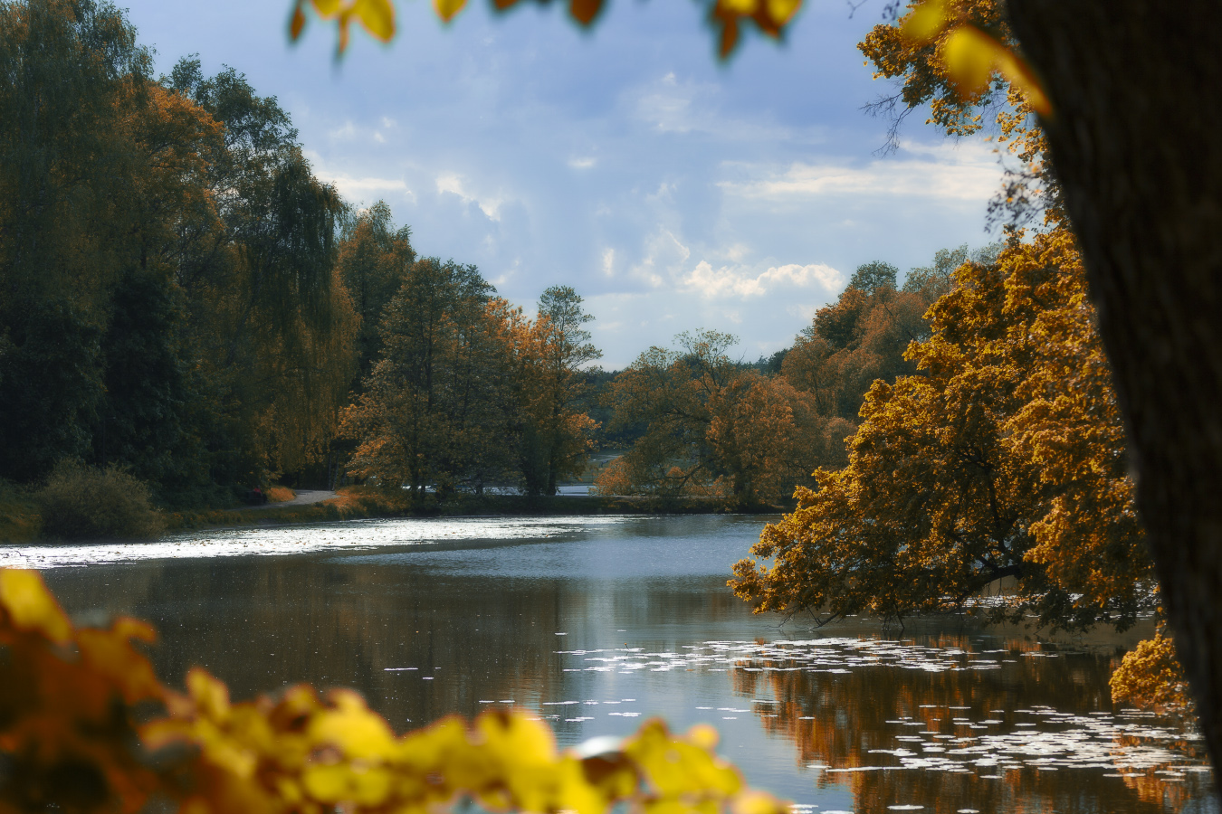 Этюд в рамке