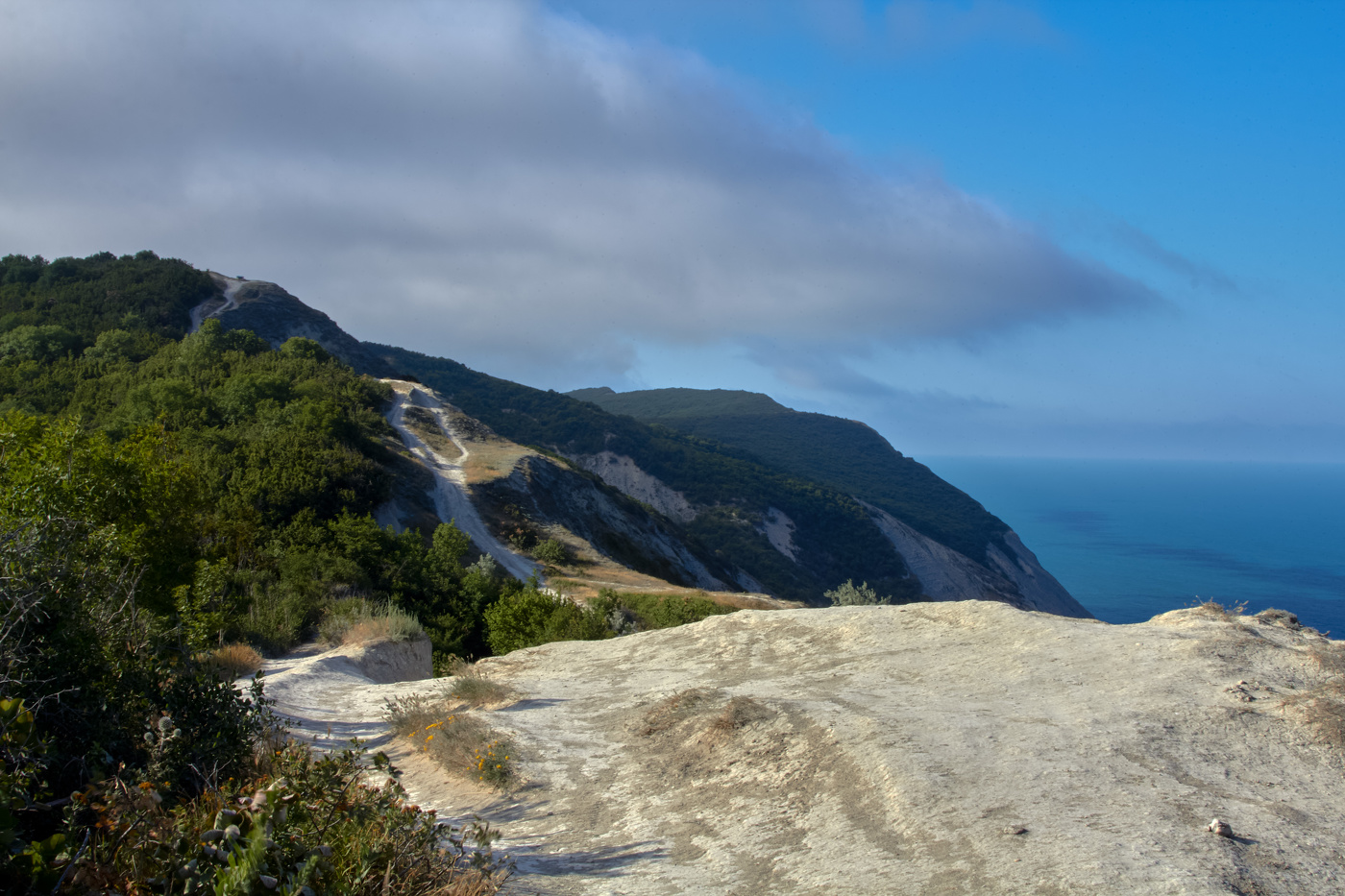 Летнее утро на Черном море