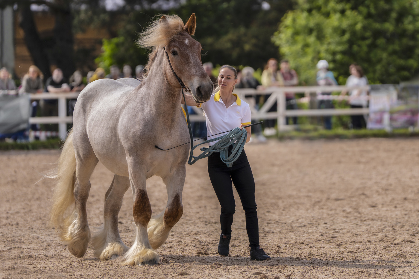 Иппосфера 2025