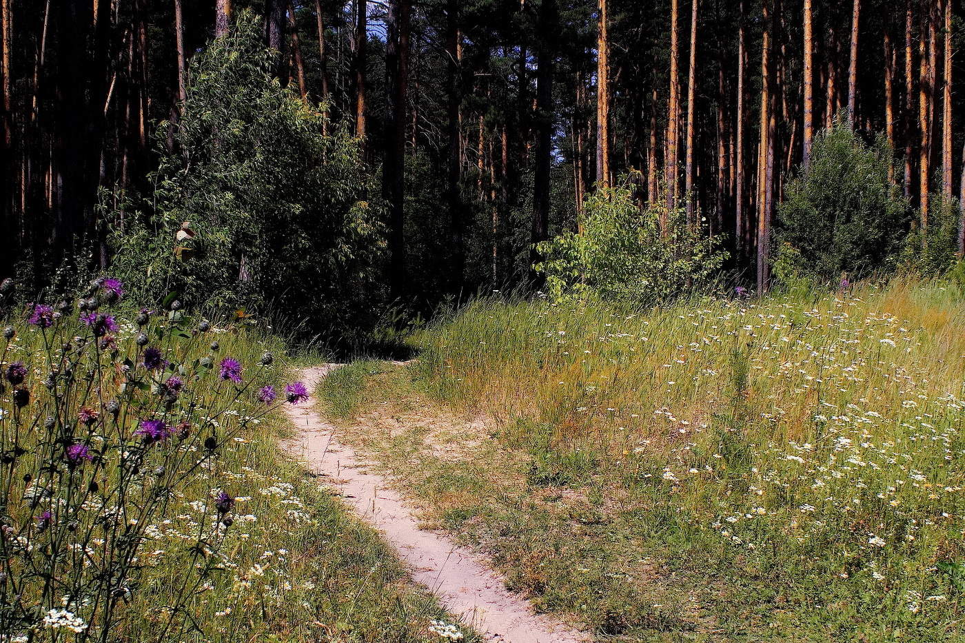 Летним полднем.