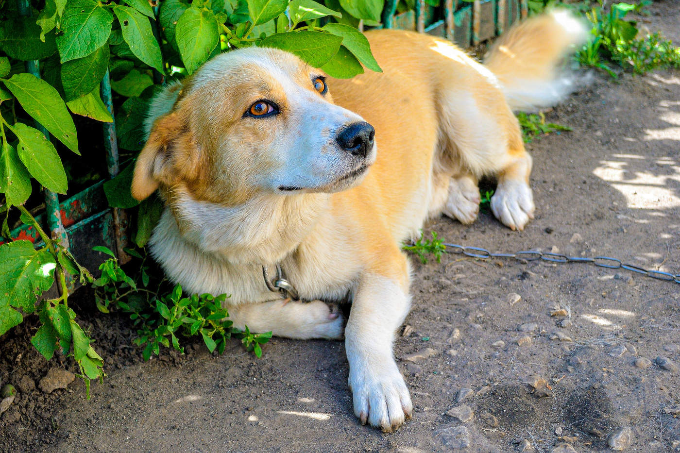 Летняя фотосессия