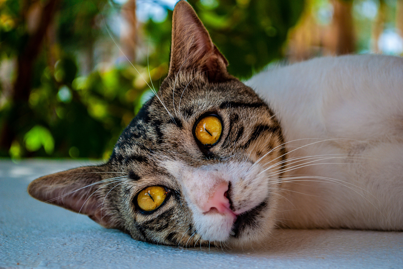 Зрительный контакт