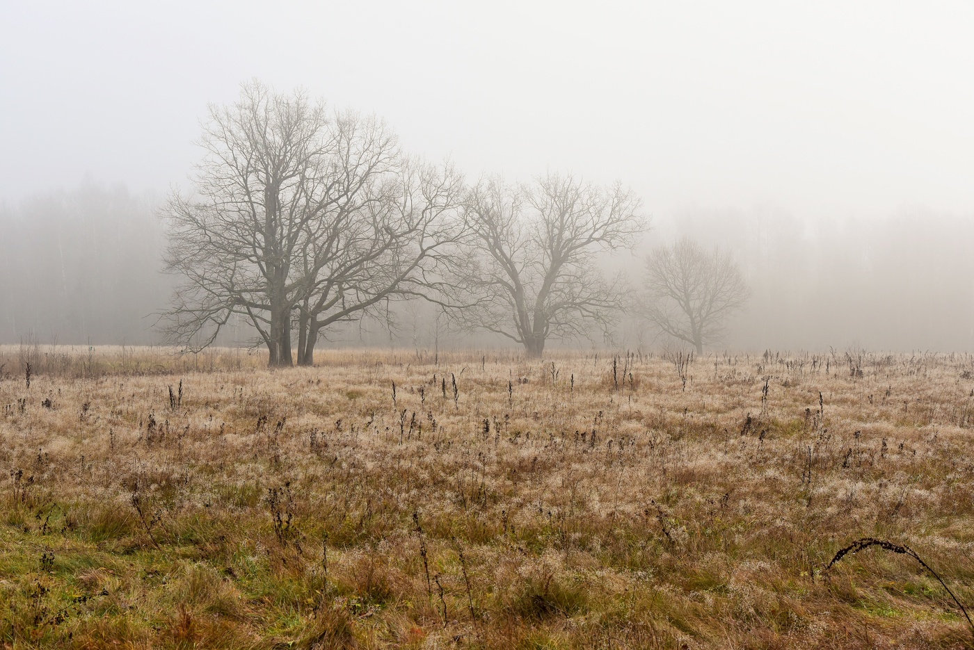"Так неуютно сердцу в ноябре ..."