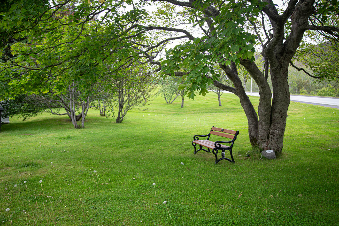 Исландия. Июнь. Одинокая скамья.