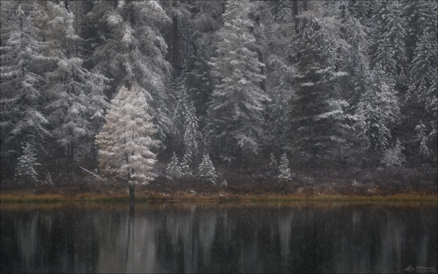 Тонкая грань