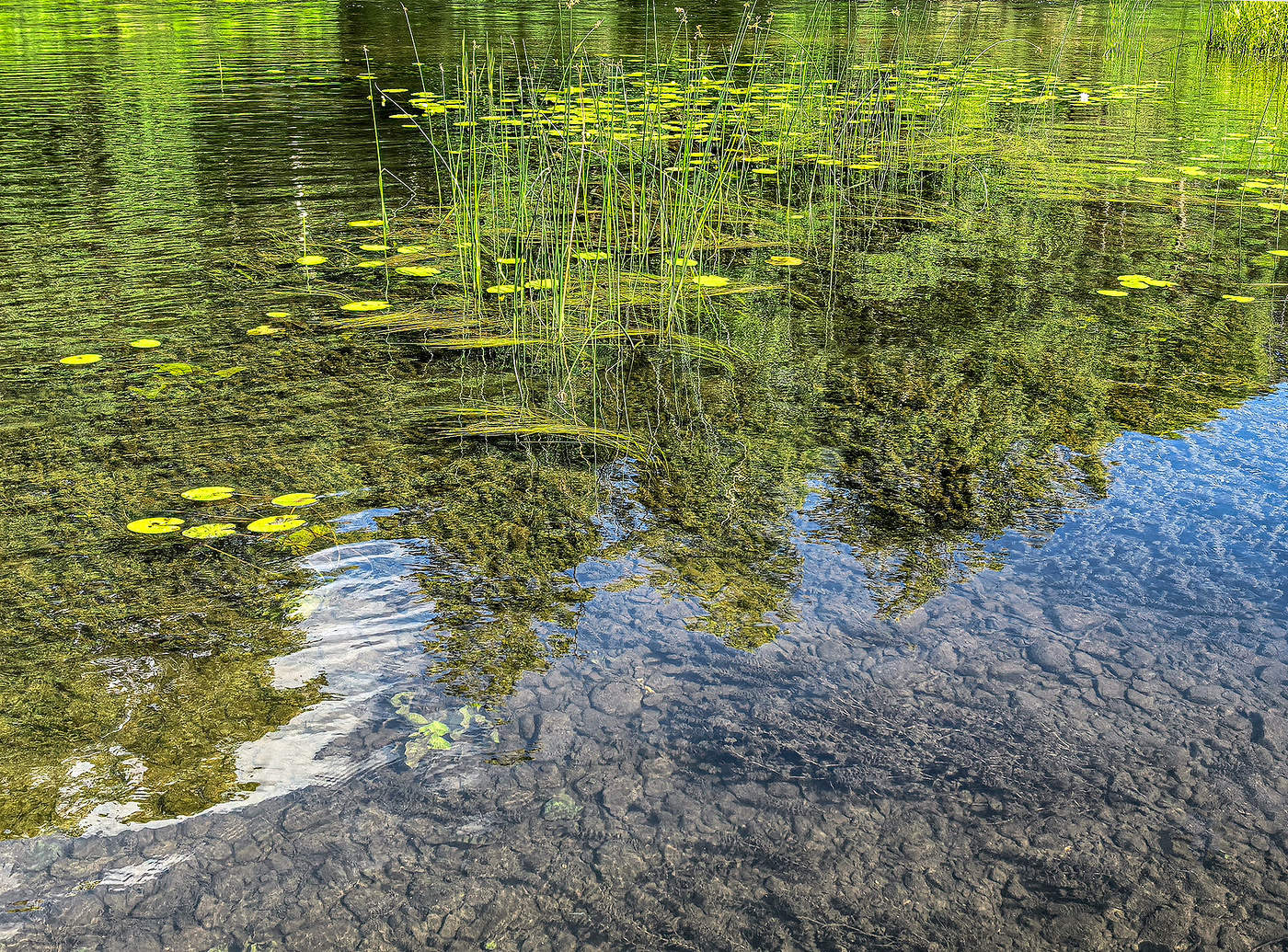 Встреча с природой. Чистая вода.