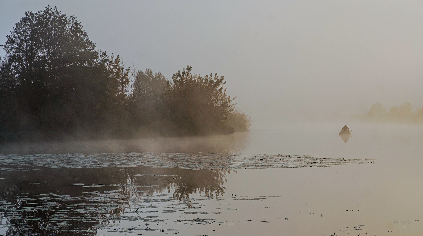 Холодное утро осени.