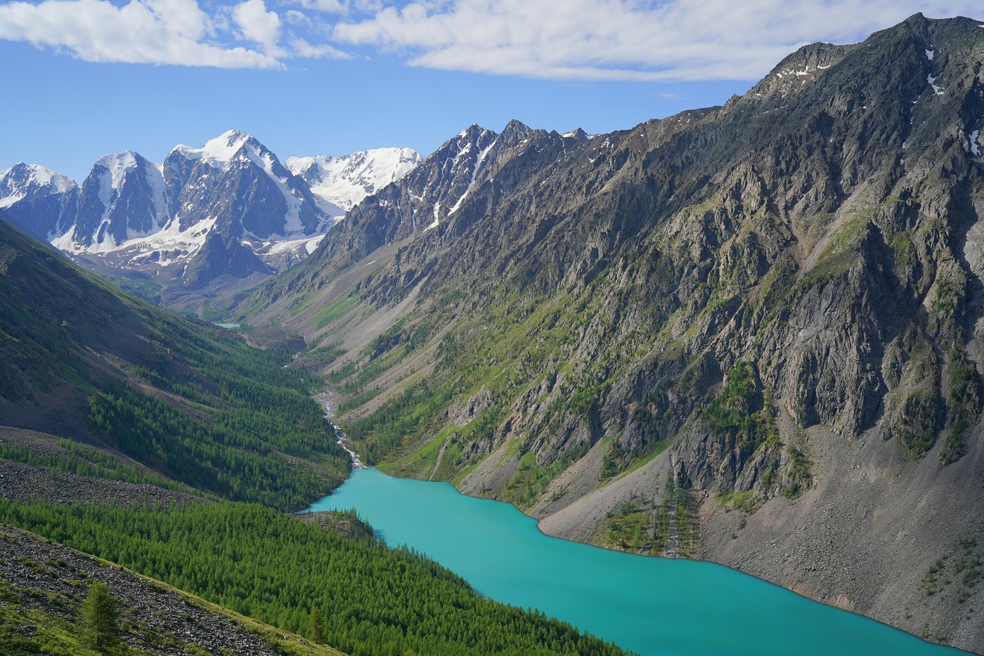 Нежно-бирюзовый